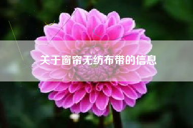 关于窗帘无纺布带的信息