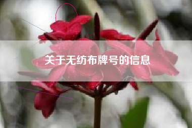 关于无纺布牌号的信息