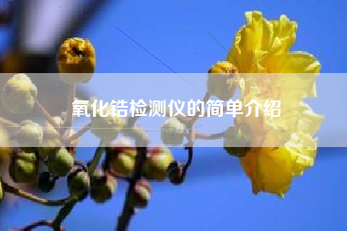 氧化锆检测仪的简单介绍