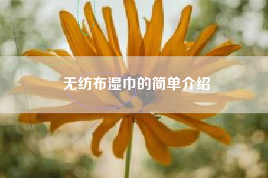 无纺布湿巾的简单介绍