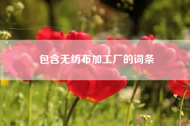 包含无纺布加工厂的词条