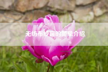 无纺布纱窗的简单介绍