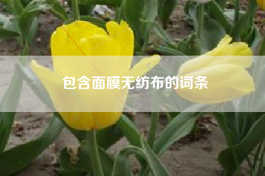 包含面膜无纺布的词条