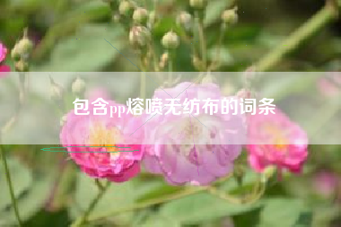 包含pp熔喷无纺布的词条