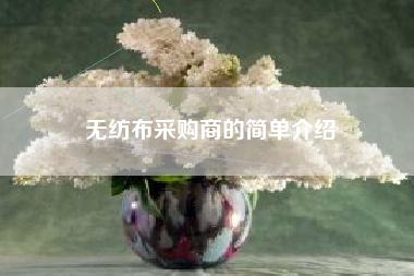 无纺布采购商的简单介绍