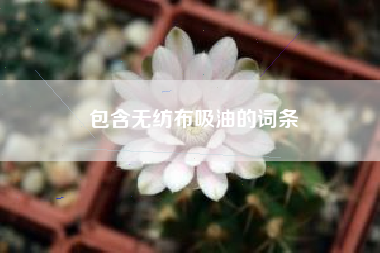 包含无纺布吸油的词条