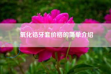 氧化锆牙套价格的简单介绍