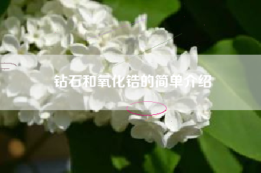 钻石和氧化锆的简单介绍