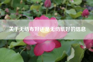关于无纺布好还是无纺纸好的信息