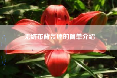 无纺布背景墙的简单介绍