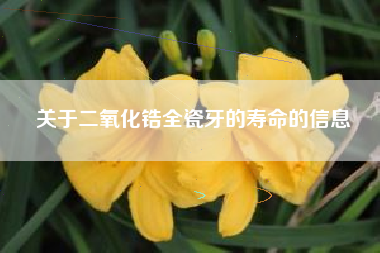 关于二氧化锆全瓷牙的寿命的信息