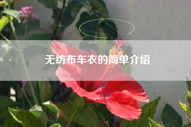 无纺布车衣的简单介绍