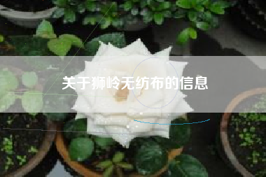 关于狮岭无纺布的信息