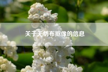 关于无纺布抠像的信息