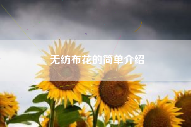 无纺布花的简单介绍