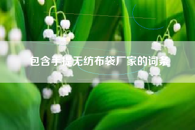 包含手提无纺布袋厂家的词条