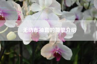 无纺布袖套的简单介绍