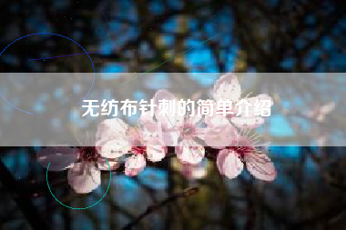 无纺布针刺的简单介绍