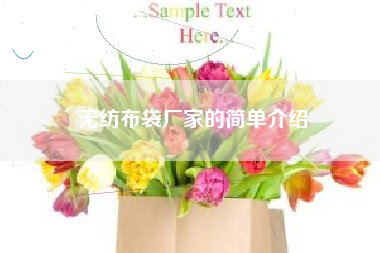 无纺布袋厂家的简单介绍