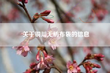 关于铜川无纺布袋的信息