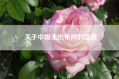 关于中国无纺布网的信息