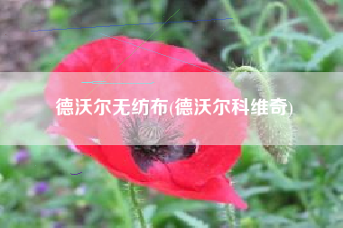 德沃尔无纺布(德沃尔科维奇)