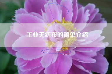 工业无纺布的简单介绍
