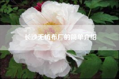 长沙无纺布厂的简单介绍