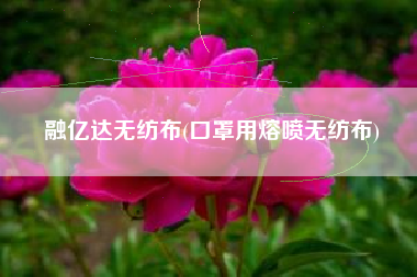 融亿达<a href='/' target='_blank' title='无纺布' ><strong>无纺布</strong></a>(口罩用熔喷无纺布)