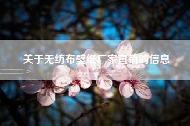 关于无纺布壁纸厂家直销的信息
