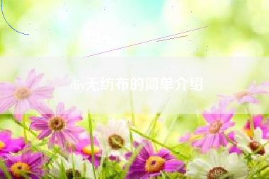 diy无纺布的简单介绍