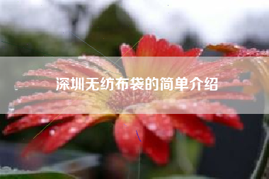 深圳无纺布袋的简单介绍
