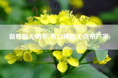新辉联<a href='/' target='_blank' title='无纺布' ><strong>无纺布</strong></a>(有口碑的无纺布厂家)