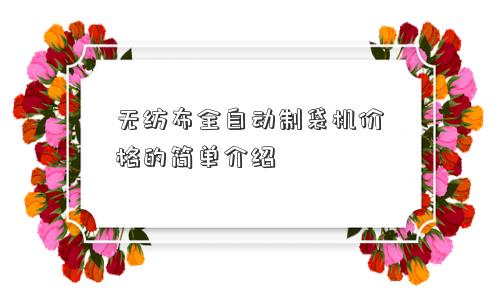 无纺布全自动制袋机价格的简单介绍