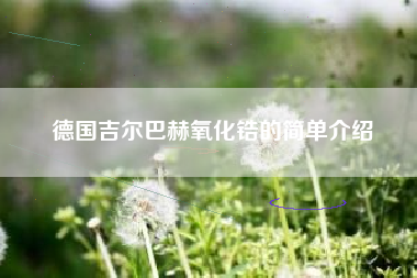 德国吉尔巴赫氧化锆的简单介绍