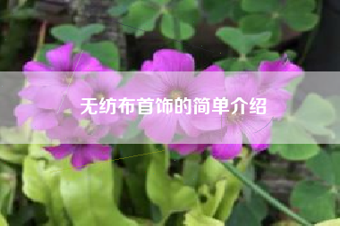 无纺布首饰的简单介绍