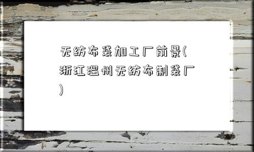 <a href='/' target='_blank' title='无纺布' ><strong>无纺布</strong></a>袋加工厂前景(浙江温州无纺布制袋厂) 无纺布袋加工厂前景(浙江温州无纺布制袋厂)