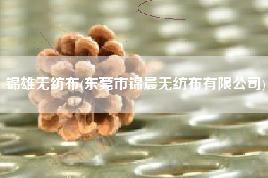 锦雄<a href='/' target='_blank' title='无纺布' ><strong>无纺布</strong></a>(东莞市锦晨无纺布有限公司)