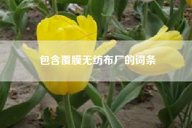 包含覆膜无纺布厂的词条