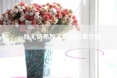 pp丝无纺布加工厂的简单介绍