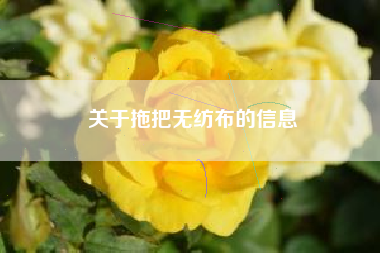 关于拖把无纺布的信息
