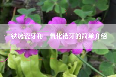钛烤瓷牙和二氧化锆牙的简单介绍