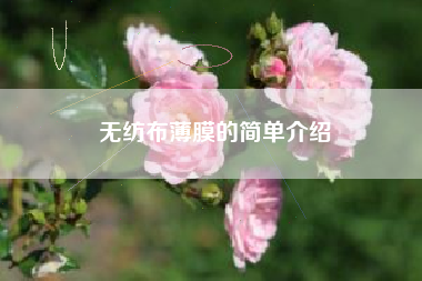 无纺布薄膜的简单介绍