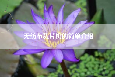 无纺布裁片机的简单介绍