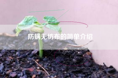 防螨无纺布的简单介绍