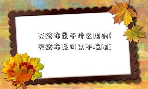 无纺布是干什么用的(无纺布袋可以干嘛用)