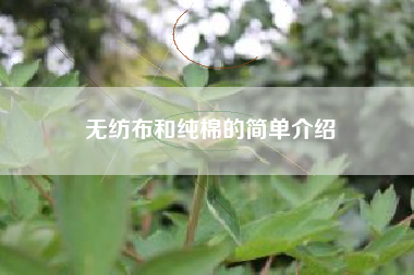 无纺布和纯棉的简单介绍