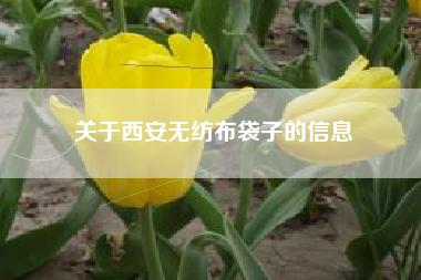 关于西安无纺布袋子的信息