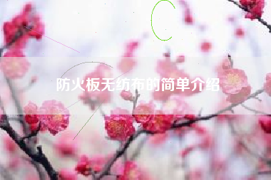 防火板无纺布的简单介绍