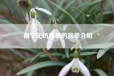 南宁无纺布袋的简单介绍